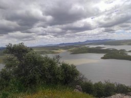 Flora del Cerro Masatrigo